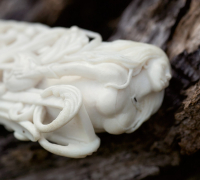 Нож Лис из стали М390