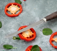 Филейный нож из стали N690