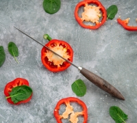 Филейный нож из стали N690