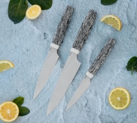 Набор Кухонных ножей из стали N690