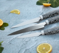 Набор Кухонных ножей из стали N690