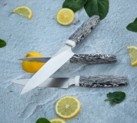 Набор Кухонных ножей из стали N690