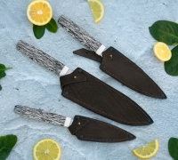 Набор Кухонных ножей из стали N690