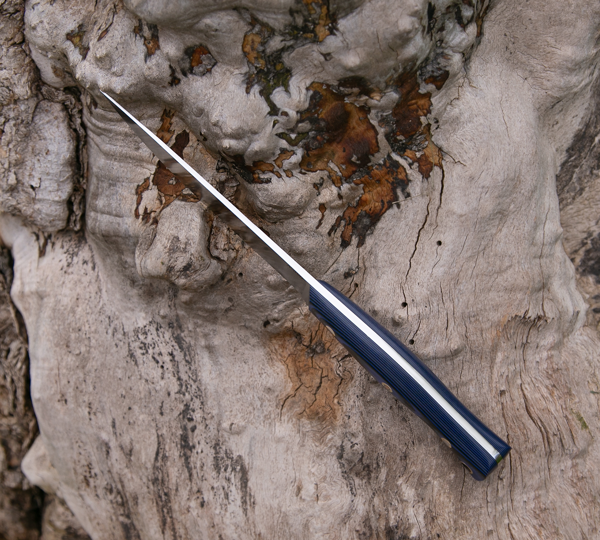 Нож Русич из стали N690