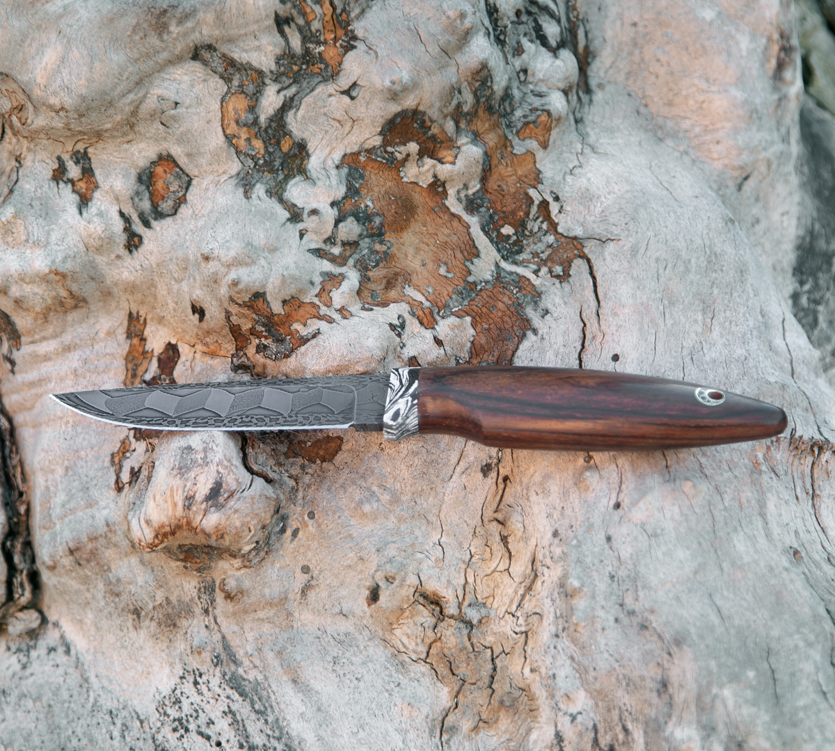 Нож Грибник из мозаичной дамасской стали