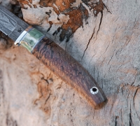 Нож Грибник из мозаичной дамасской стали